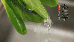 燒一鍋開水，滴一點(diǎn)油，水開后汆燙青菜至斷生即可。