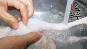 土雞處理干凈。（如果買不到土雞，一般的雞也是可以的，不過需要汆水。溫水下鍋汆燙7分鐘左右，汆燙時(shí)需要適時(shí)翻動(dòng)。汆燙雞肉是為了去掉生腥味，也是一次徹底清潔的過程，可以使燉出的湯清爽而不渾濁，鮮香而無異味）