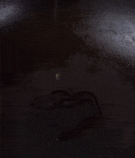 冷鍋熱油，下蒜片爆香，下香腸、玉米筍、蓮藕、西芹爆炒，期間加點(diǎn)水，翻炒1分鐘后加新鮮百合片，翻炒30秒。